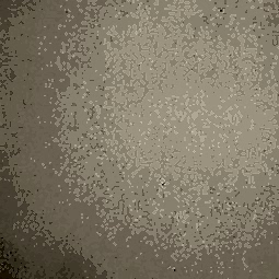 0225_LU_Темно-кремовый_(глянец)_STD_3050x1300x0,7_Arpa