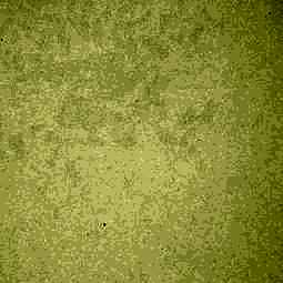 0661_LU_Желтый_Галлион_(глянец)_STD_3050x1300x0,7_Arpa