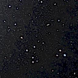 9144_(GALAXY_0509)__LU_GALAXY_черный_(глянец)_PF_3050x1300x0,6_Arpa
