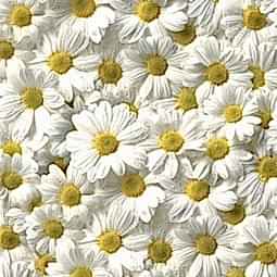 158