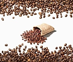 204