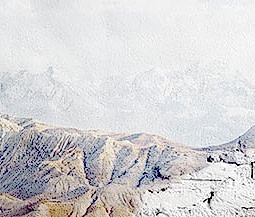 207