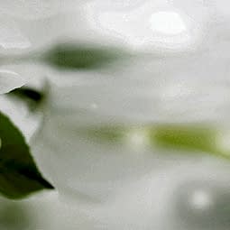 229