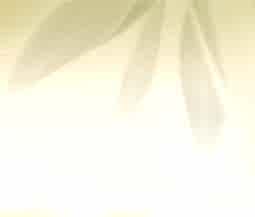 238