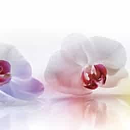 91