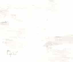 96
